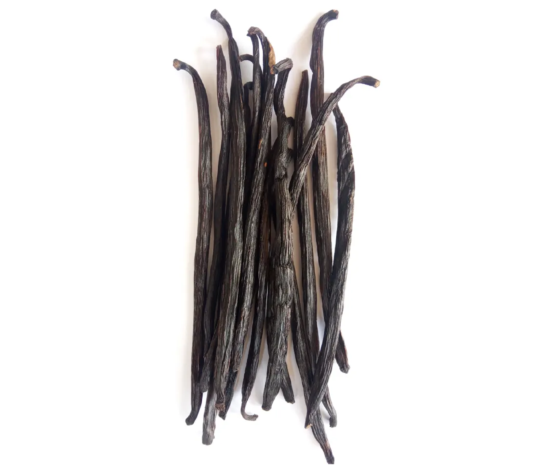 Vanilla Planifolia Dried Length 20 cm Grade A (Gourmet) - Sentra